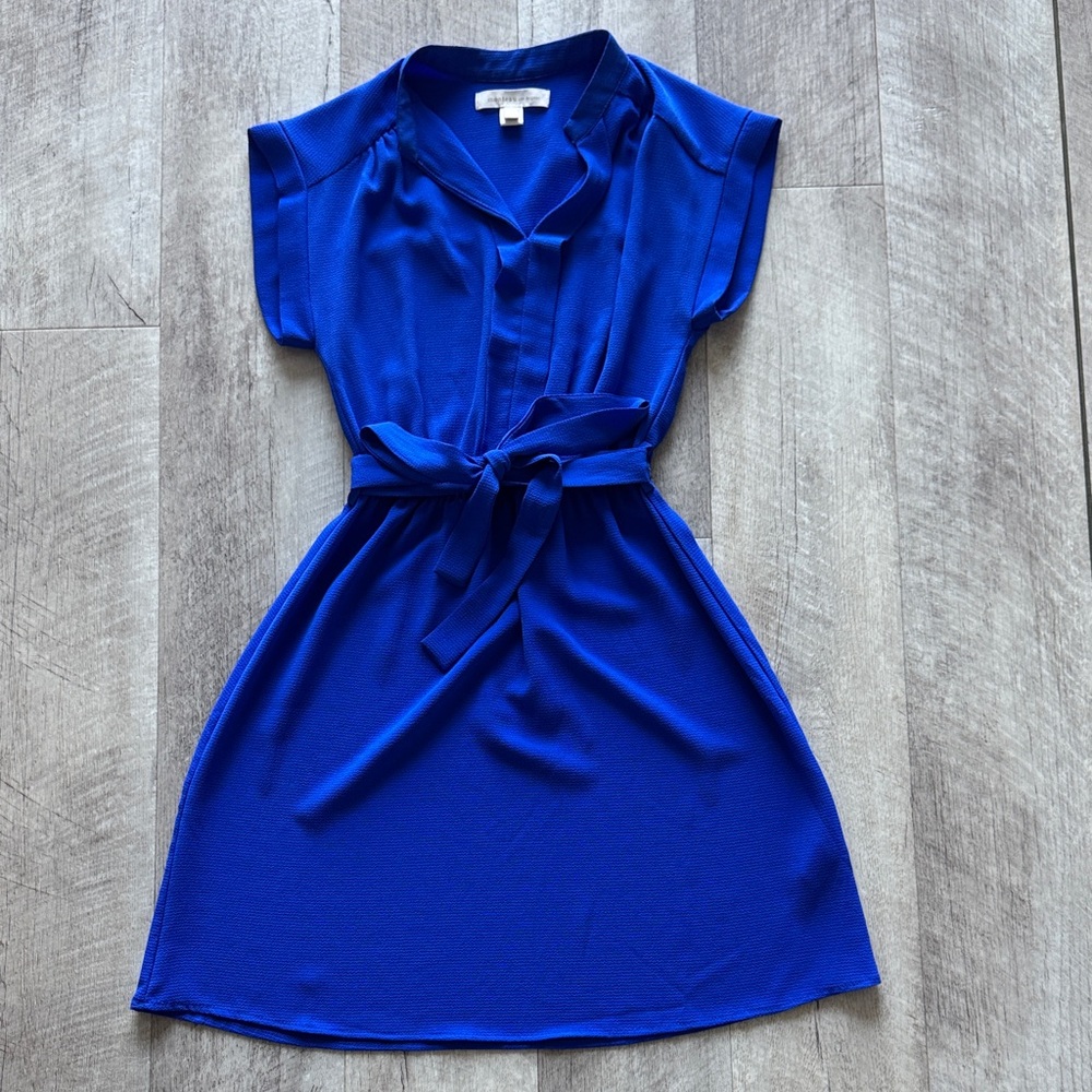 Elegant Blue Women's Dress